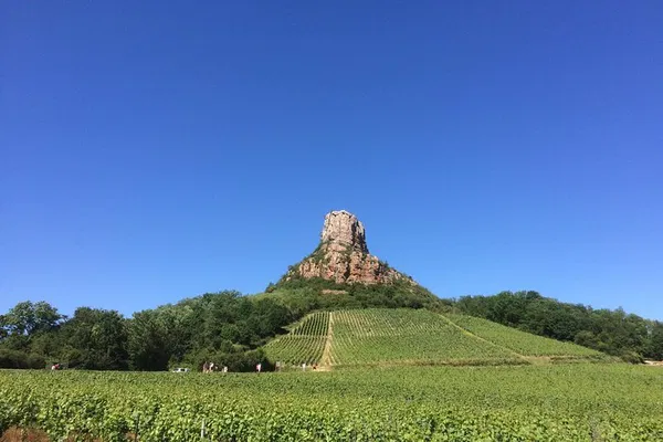 Burgundy Wine Bliss: Full-Day Vineyard Escape from Lyon