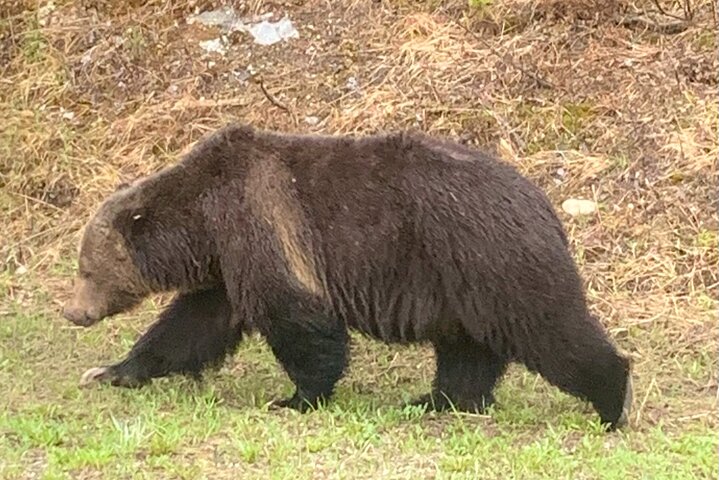 Experience Image img3