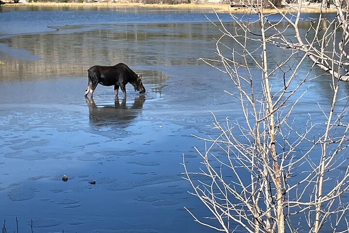 Experience Image img3