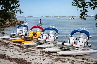 HydroCats: Sarasota's Thrilling CraigCat Catamaran Sightseeing Adventure