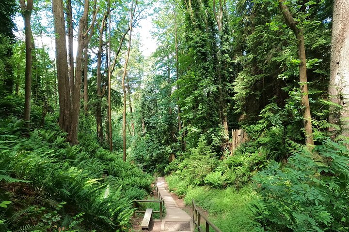 Experience Image img2