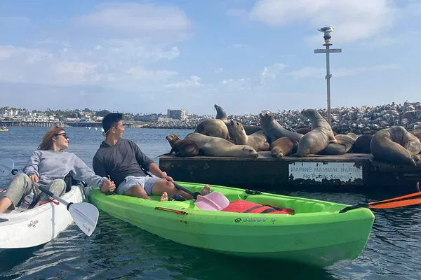 Redondo Beach Adventure: Kayak with Sea Lions in a Calm Harbor!