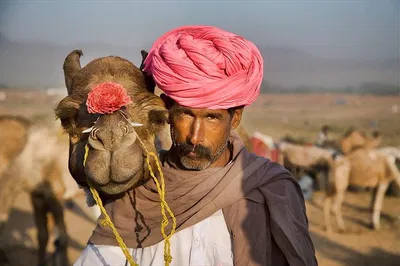 Seamless Private Transfer: Pushkar to Jaipur in Comfort