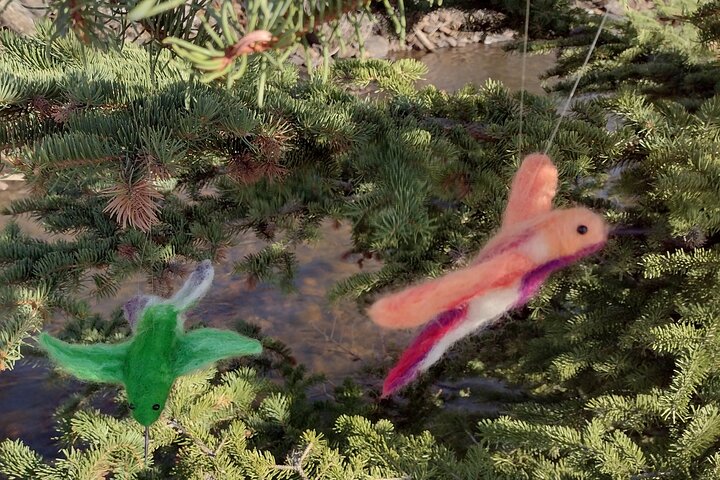 Experience Image img3