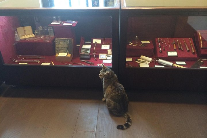 Experience Image img4