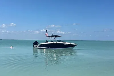 Sandbar Charter: Bay Tour, Dolphins & Fun!