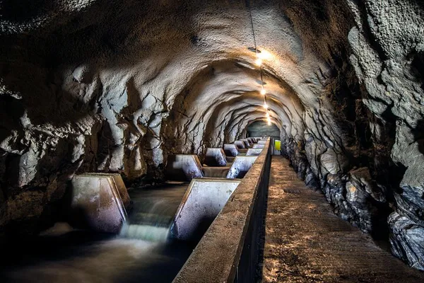 Witness Wild Salmon's Journey: A Kristiansand Adventure