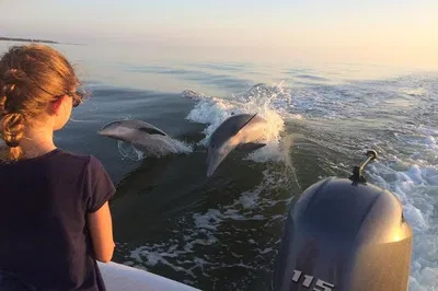 Everglades Eco-Adventure: Discover Dolphins, Manatees & Calusa Relics!