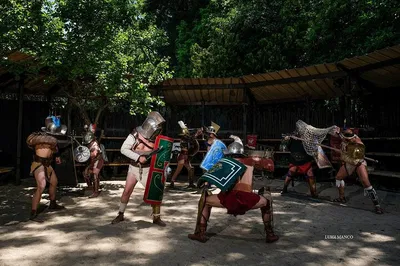 Step into the Arena: Live the Gladiator's Life in Ancient Rome