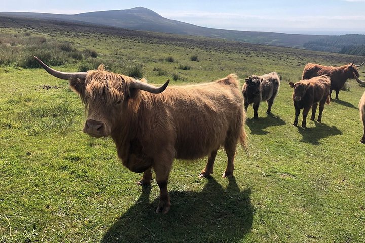 Experience Image img4