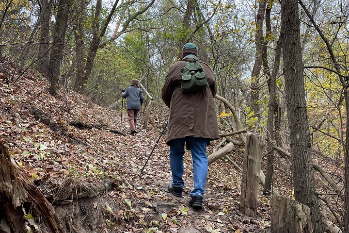 Experience Image img2