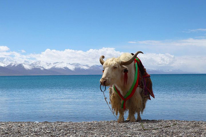 Experience Image img2