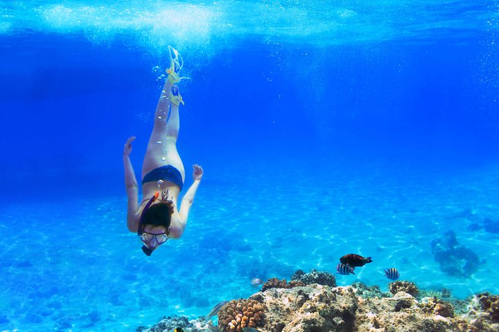 Experience Image img2