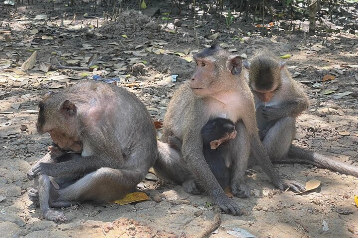 Experience Image img2