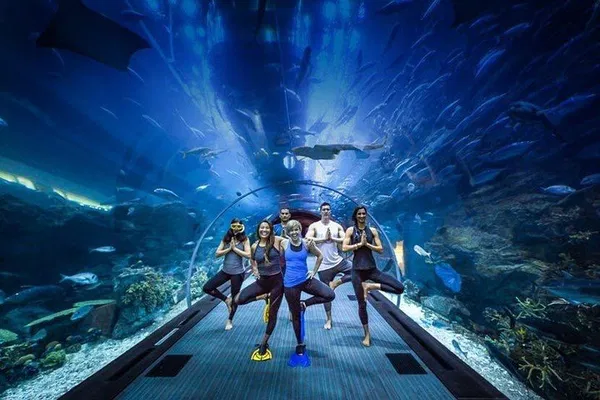Burj Khalifa & Dubai Aquarium Combo Tickets