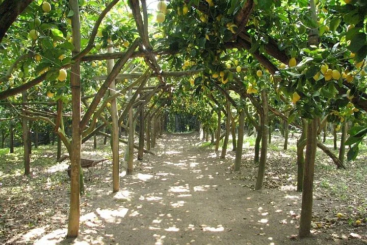 img0