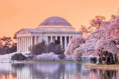 DC's Iconic Landmarks: A Comprehensive Guided Tour