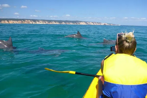 Kayak with Dolphins: 4WD Beach Adventure in Noosa
