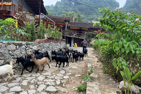 Unveiling Ban Gioc: Trek to Hidden Villages & Border Waterfalls