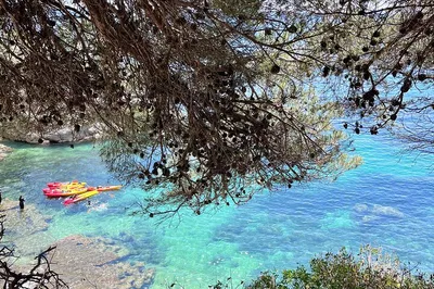 Gentle Morning Kayak: Discover Cavall Bernat's Calm Waters