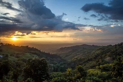 Discover Quindío's Charm: A Magical Towns Day Trip from Salento