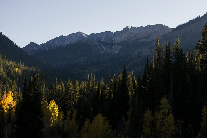 Experience Image img2