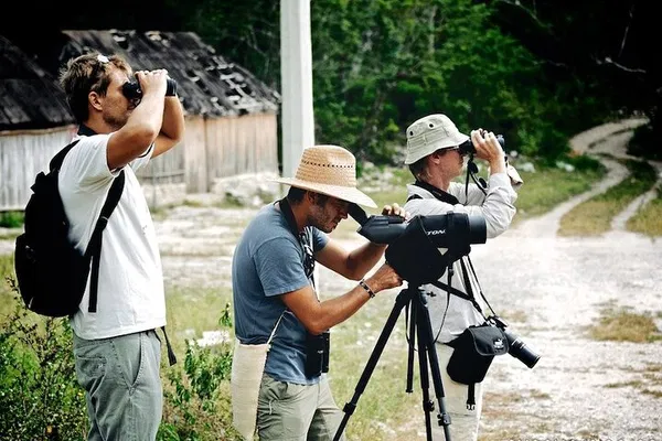 Discover Sian Ka'an's Avian Wonders: A Tulum Birdwatching Adventure