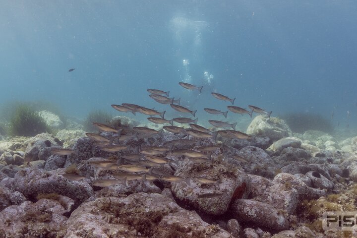 Experience Image img2