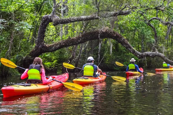 Amelia Island Kayak Tour: Lofton Creek Wildlife!
