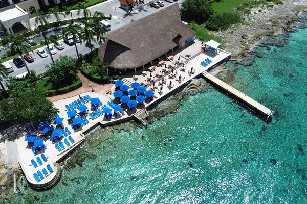 Cozumel's Money Bar: All-Inclusive Reef Adventure with Hassle-Free Transport!