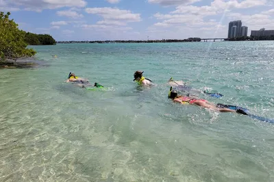 Island Snorkeling Adventure: Beginner-Friendly Fun!