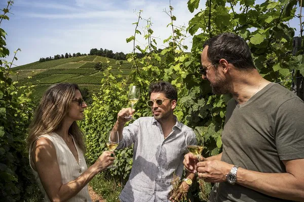 Alsace Wine Tour: Uncorking the Region's Hidden Gems from Basel/Mulhouse
