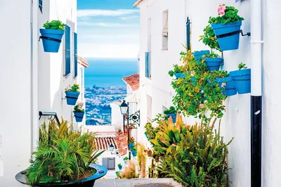 Andalusia & Costa del Sol: 8-Day Tour from Madrid