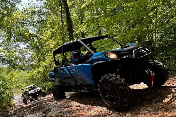 Roar Through Tennessee: 3-Hour Can-Am Backcountry Adventure!