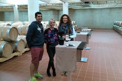 Ribera del Duero Wine Tour: Taste 12 Wines & Tapas