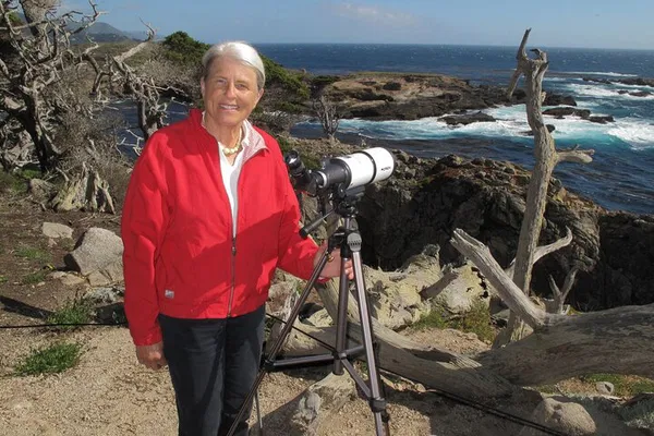 Unveiling Point Lobos: A Guided Nature Immersion
