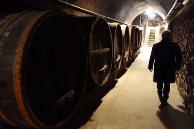 Savor Southern Tuscany: Wine Tasting from Civitavecchia Port