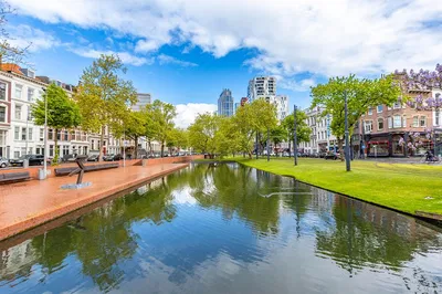Unlock Rotterdam: A 90-Minute Local's Walking Tour