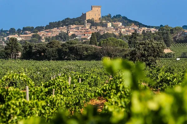 Uncork the Rhône: Châteauneuf-du-Pape Wine Tasting Adventure