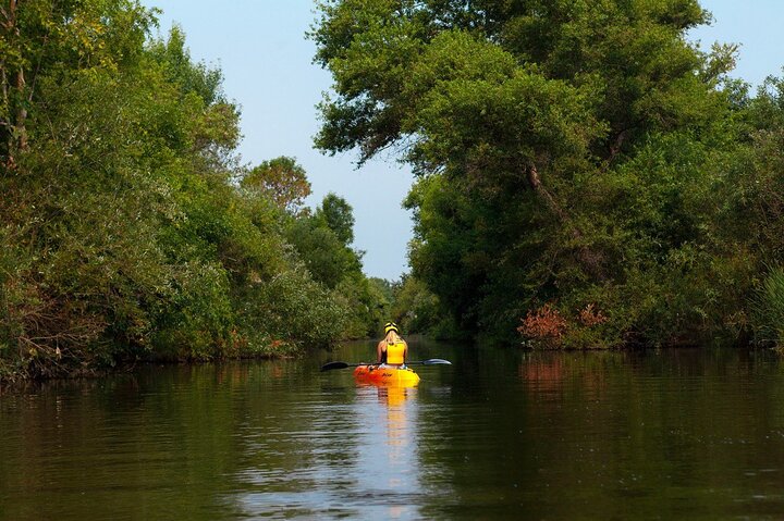 Experience Image img4