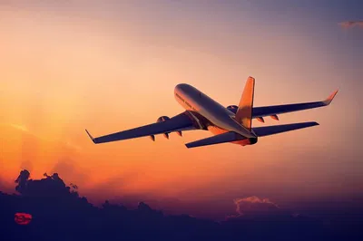 Stress-Free Delhi Arrival: Private Airport Transfer to Your Hotel