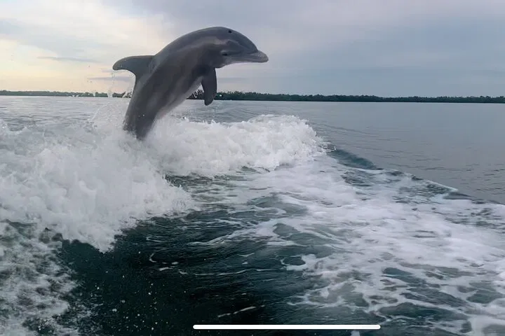 img0
