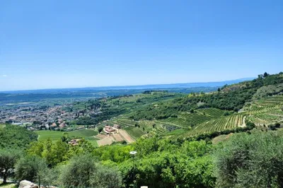 Uncorking Valpolicella: A Luxurious Amarone Wine Tour from Verona