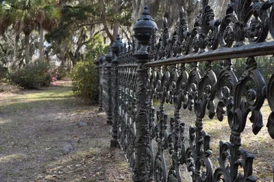 Savannah's Chilling Tales: A Historian-Led Haunted Walking Tour