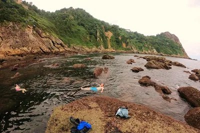Image 3
