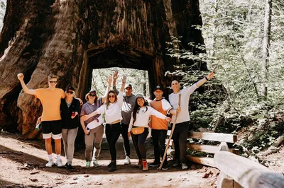 Yosemite Freedom: Design Your Dream Escape from San Francisco