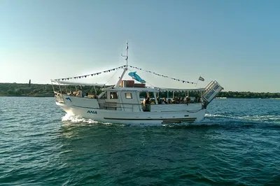 Brijuni Park Tour with Swim Stop at St. Jerolim Island