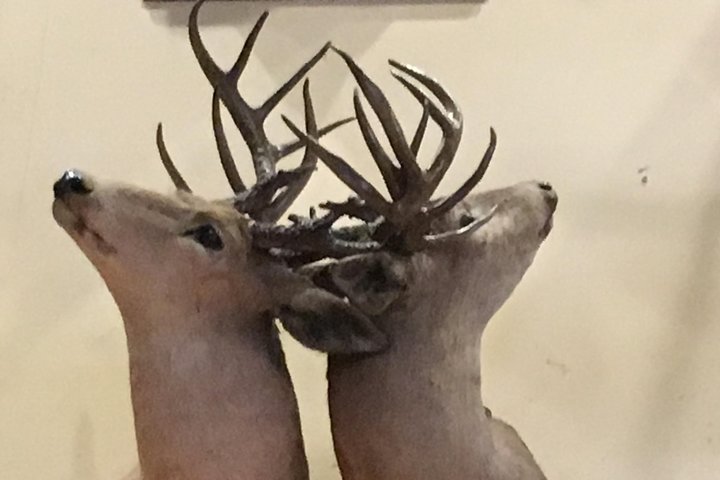 Experience Image img4