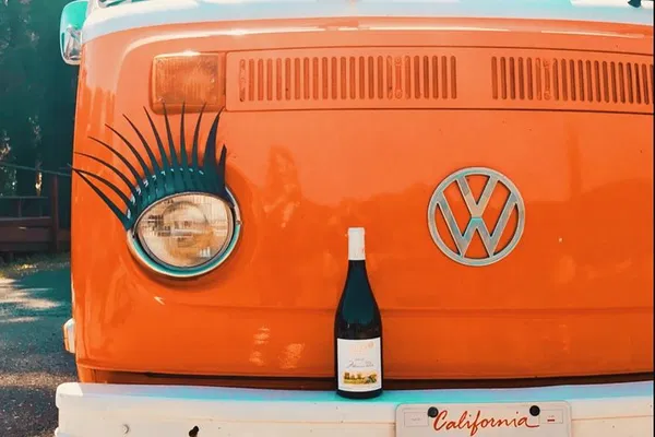 Vintage VW Wine Adventure: Painted Ladies & Sonoma Valley Delights
