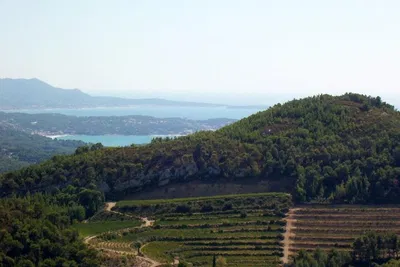 Discover Toulon's Charm: An Immersive 8-Hour Tour